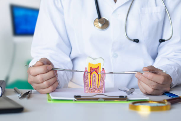 Best Emergency Root Canal Treatment in South Sioux City, NE